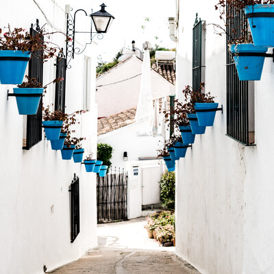 white and blue exterior of a house. 