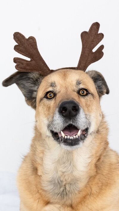 Elegant rustic wedding