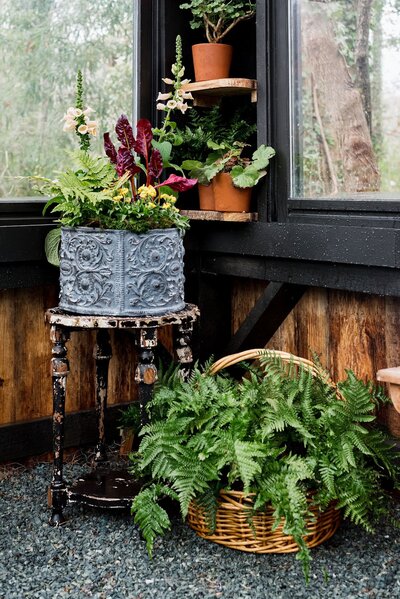 container garden with greenery
