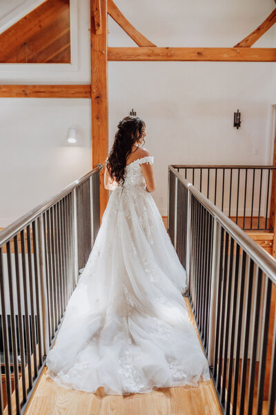 TurtleHarePhotography2