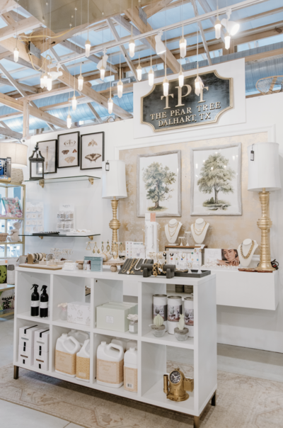 amy thoennes art in accent west