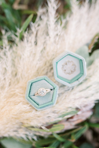 J+R Engagement-398_websize