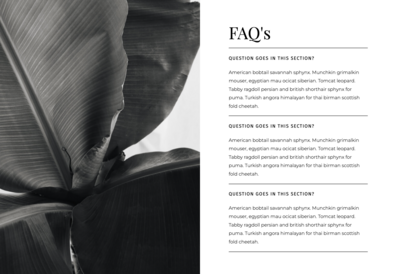 FAQ layout with image for Showit