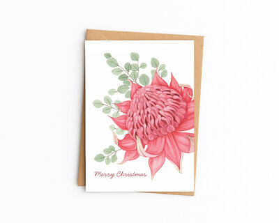 Christmas Waratah 2