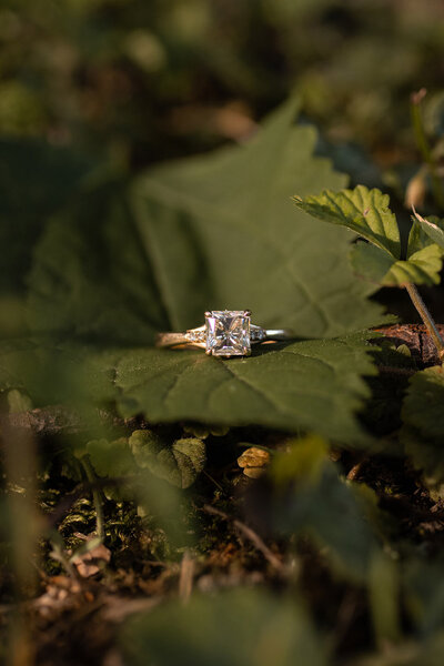 diamond ring with gold band sitting on a leaf by jaimee rae photography