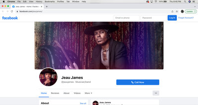 Musician branding social media page design sample Jeau James FaceBook Package A