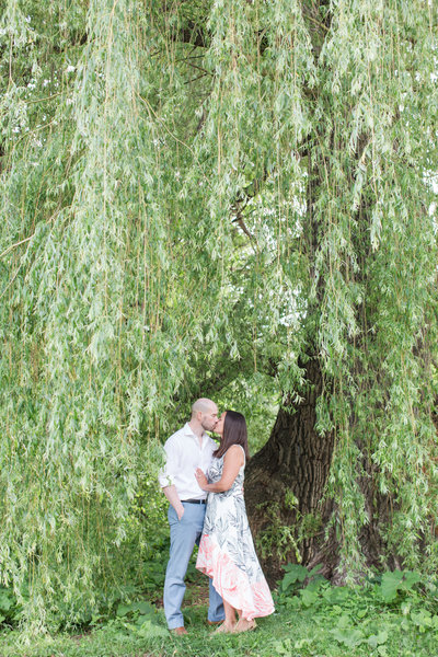 Willow Trees Engagement
