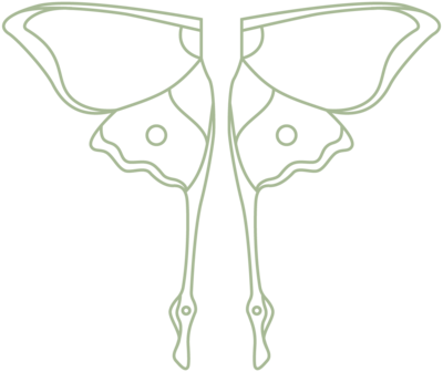 luna moth logo