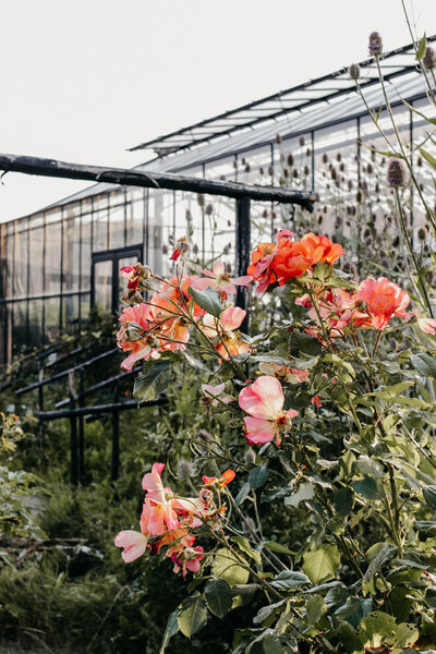 Margreet Rierink – coach supervisor rouwbegeleider fotografie tuin Oosterwold 7