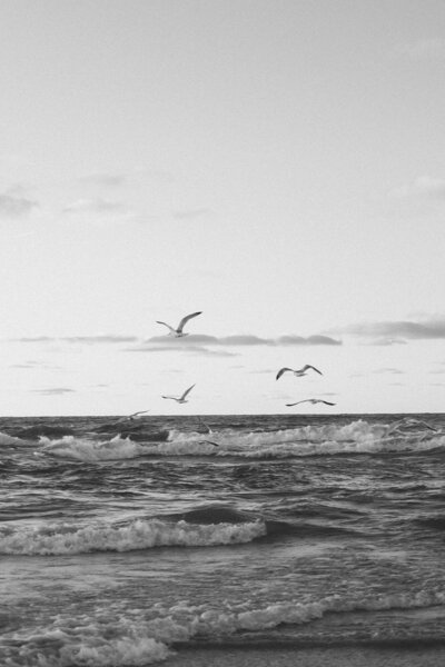 Get to know Sol Luna Photography, your Mid Michigan Wedding Photographer. Learn about our passion for capturing the love stories of couples who value elegance, authenticity, and timeless moments. Discover how we create stunning imagery to cherish forever.