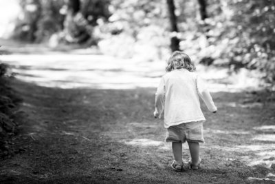 child walks forest path