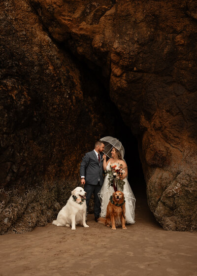 bride and groom with their dogs looking at each other