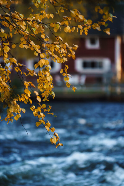 DSC02820-Edit