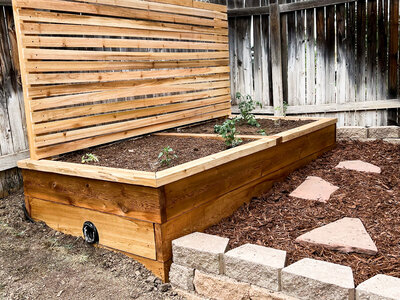 DIY raised cedar garden bed for backyard garden-1