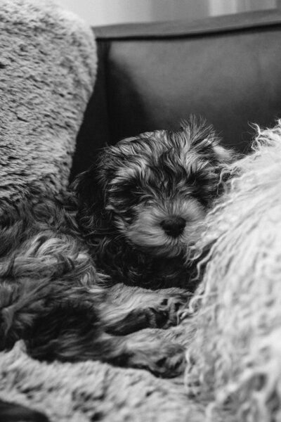 MLK-BW-0871