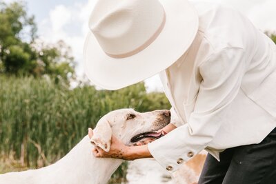 White lab dog receiving pets from Sasha