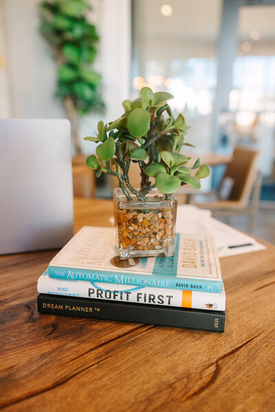 Stack of books with a plant neatly placed on top