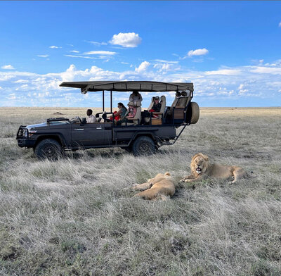 Safarivehiclewithlions