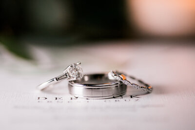 Brooklyn Arts Center Wedding Photographers-83