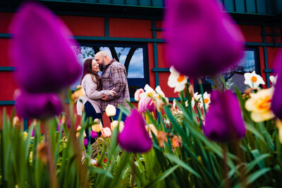 An engaged couple kissing surrounded by colorful flowers in Toledo Ohio