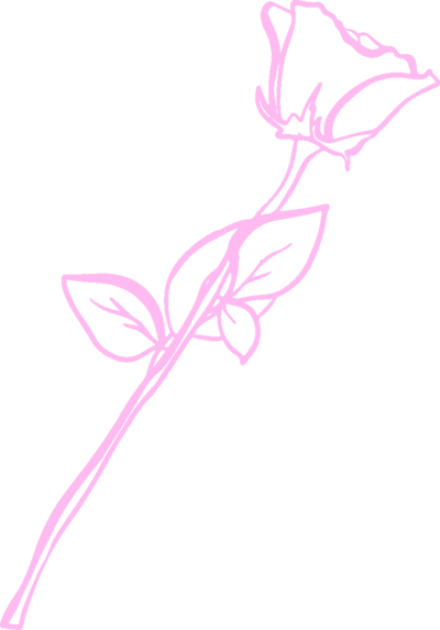 single rose drawing