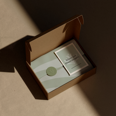 Mockup 01 box