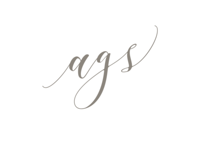 ags-script