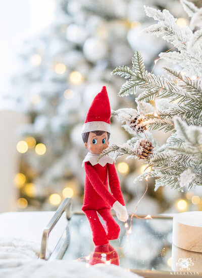 Scout Elf sitting in snow by a Christmas tree