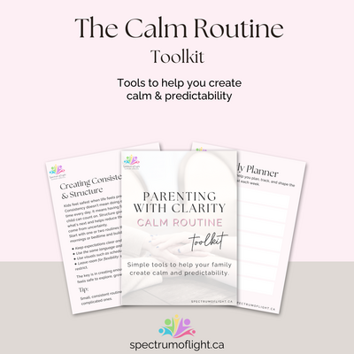 calm routine mock up
