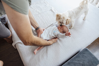 dad holding newborn baby with dog in chicago, IL