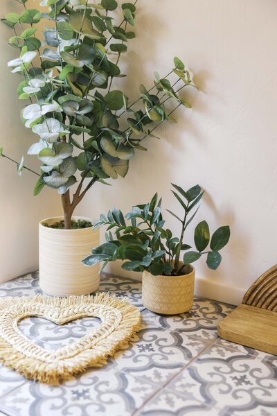 Trauma therapy for young adults in Tucson Arizona