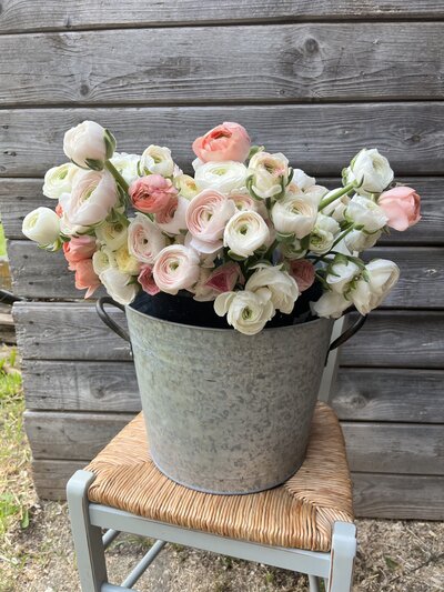 Hanoi ranunculus June