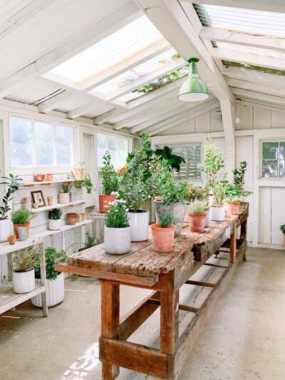 social-squares-al-fresco-outdoor-fresh-summer-styled-stock-imagemage004