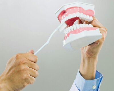 An image of a person brushing a teeth model emphasizing proper care for fixed dental prostheses—brush twice daily with a soft toothbrush, and use a super floss to keep gums and prosthetic areas clean and healthy.
