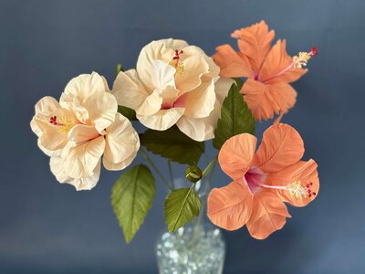 Double and single hibiscus