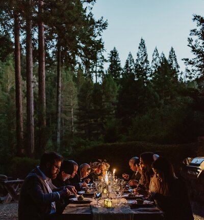 Bride and groom walking in Sonoma County's Armstrong Redwoods during their adventure elopement