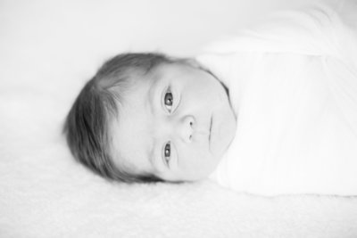 Newborn photo, baby wrapped in blanket