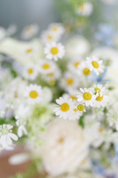 White daisy floral arrangements 