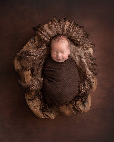 St-Louis-Newborn-Photography-3
