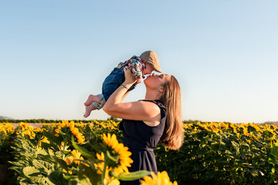 sunflowers-family-phoenix-2