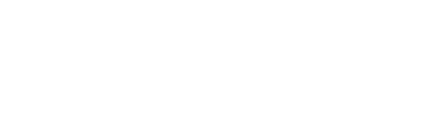 logo-wedding-chicks