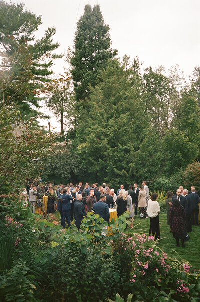 film-31_websize