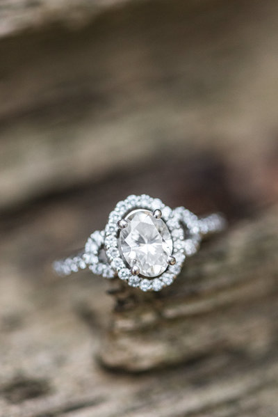Jillian-Neil-Engagement-170104