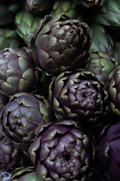 Still life of purple and green artichokes. 