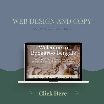 Copywriting and website design portfolio