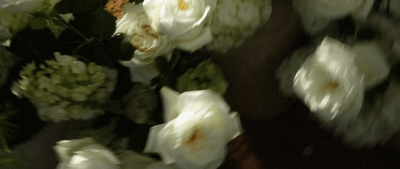 Screenshot 2025-11-24 at 5.23.26 PM