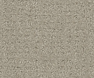 Texture carpet.