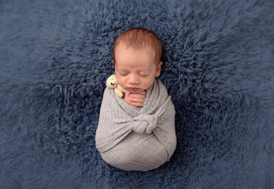 baby wrapped in gray on blue blanket by Newborn Photography Bucks County PA