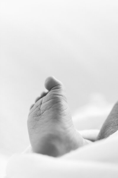 black and white macro image of newborn foot