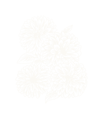 illo 2 white rgb 524px@300ppi